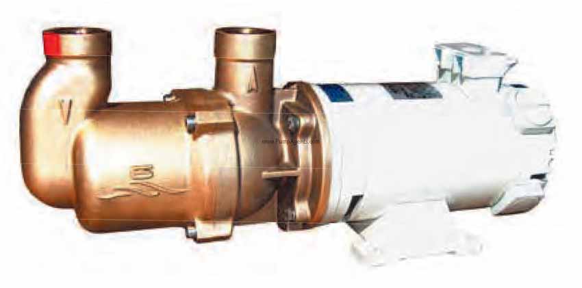 Gianneschi Pump ECO-MV44G-12V