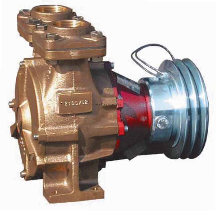 Gianneschi Pump FS-40/14FE-12V