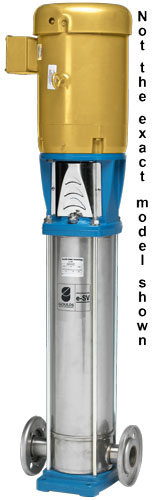 Goulds Pump 1SV29FF4C20