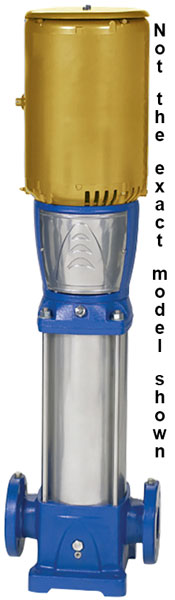Goulds Pump 3SV17GF4C10