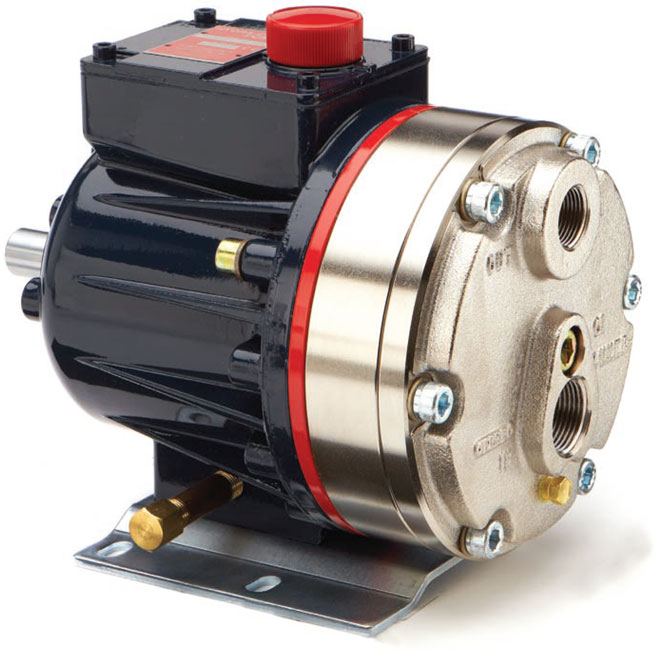 Hydracell Pump D10EPSGSFEHB