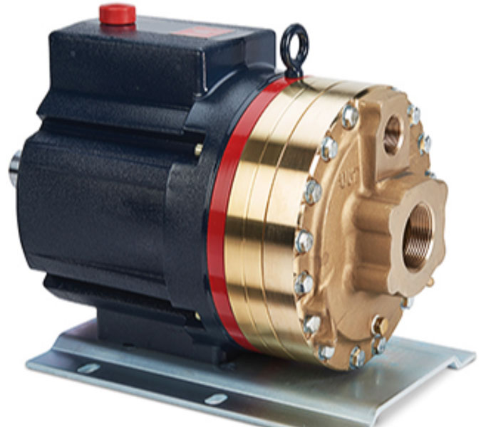 Hydracell Pump D35EKBTHFECA