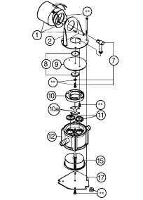 Blowup of 37202