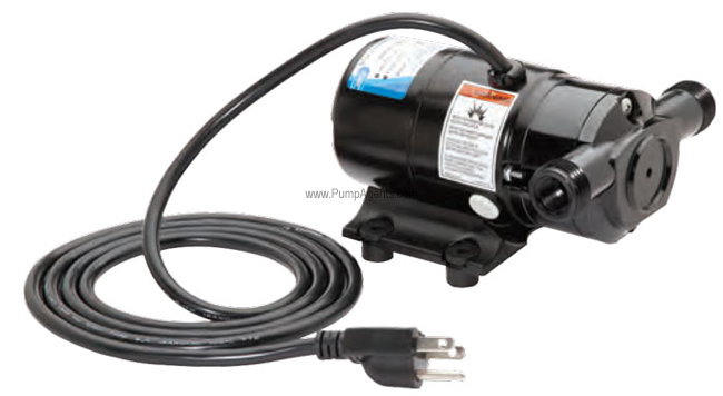 Jabsco Pump 12310-0001