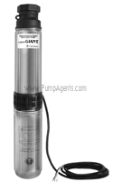 Little Giant Pump WE10G05P4-21