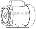 March Pump Parts 0151-0039-1000