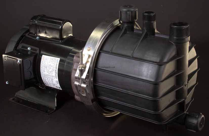 March Pump SP-TE-7P-MD-1PH-1HP