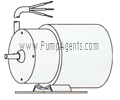 March Pump Part # 0145-0035-1000 - Motor