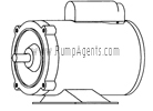 March Pump Part # 0153-0027-1000 - Motor