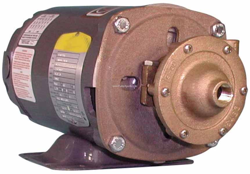 Oberdorfer Pump 101M-01F26