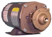 Oberdorfer Pump 101MS-11J20