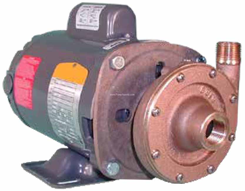 Oberdorfer Pump 104M-06-10F36BJ-50/60