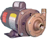 Oberdorfer Pump 104MP01-F65