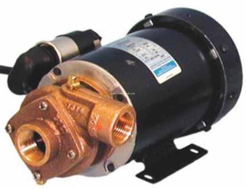 Oberdorfer Pump 172B-B26