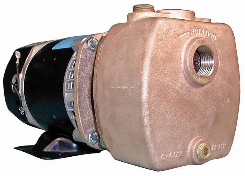 Oberdorfer Pump 300B-01-J26