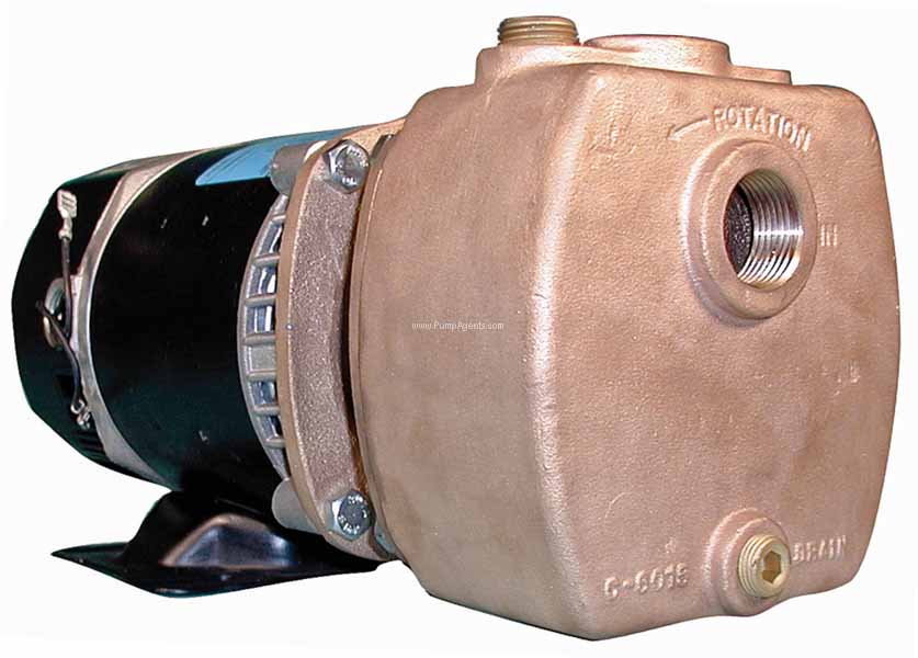 Oberdorfer Pump 300B-01F26