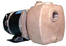 Oberdorfer Pump 300BPS-10F57
