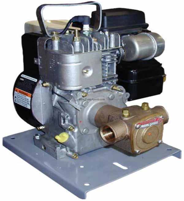Oberdorfer Pump 405MG-03UGY