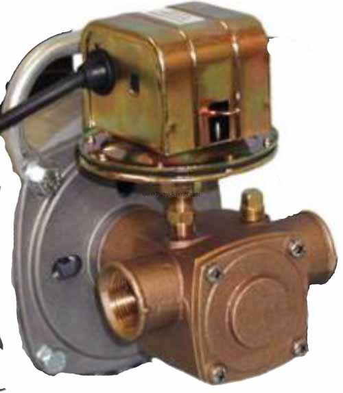 Oberdorfer Pump 405MK-04