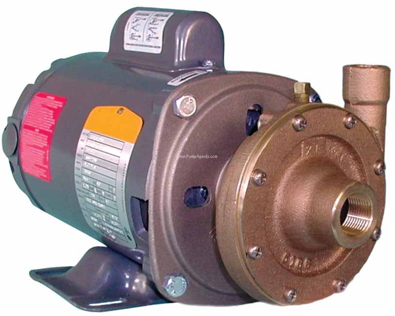 Oberdorfer Pump 600P-J57
