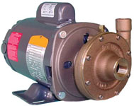 Oberdorfer Pump 600PS-10F58