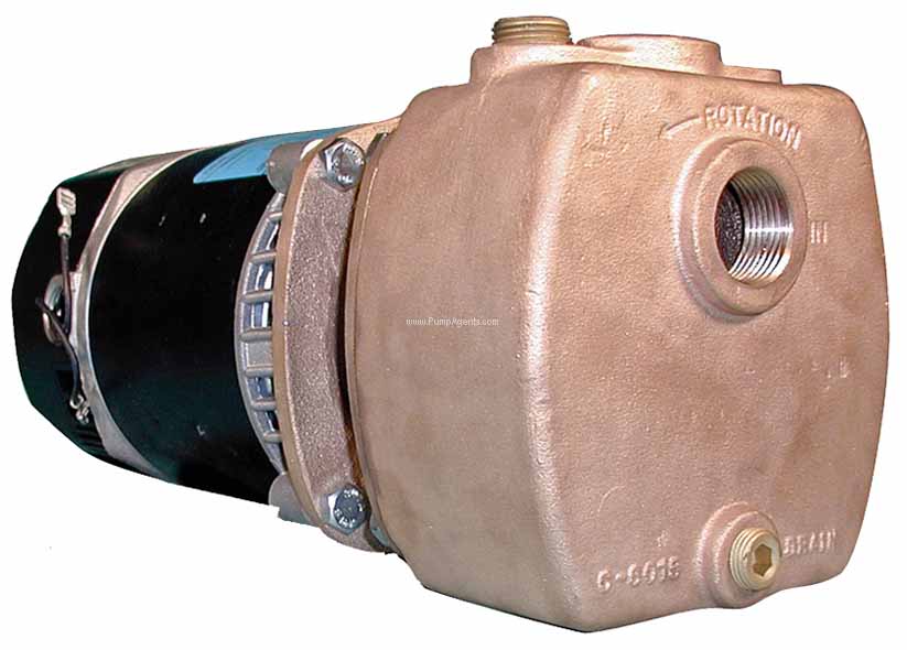 Oberdorfer Pump 750B-T19