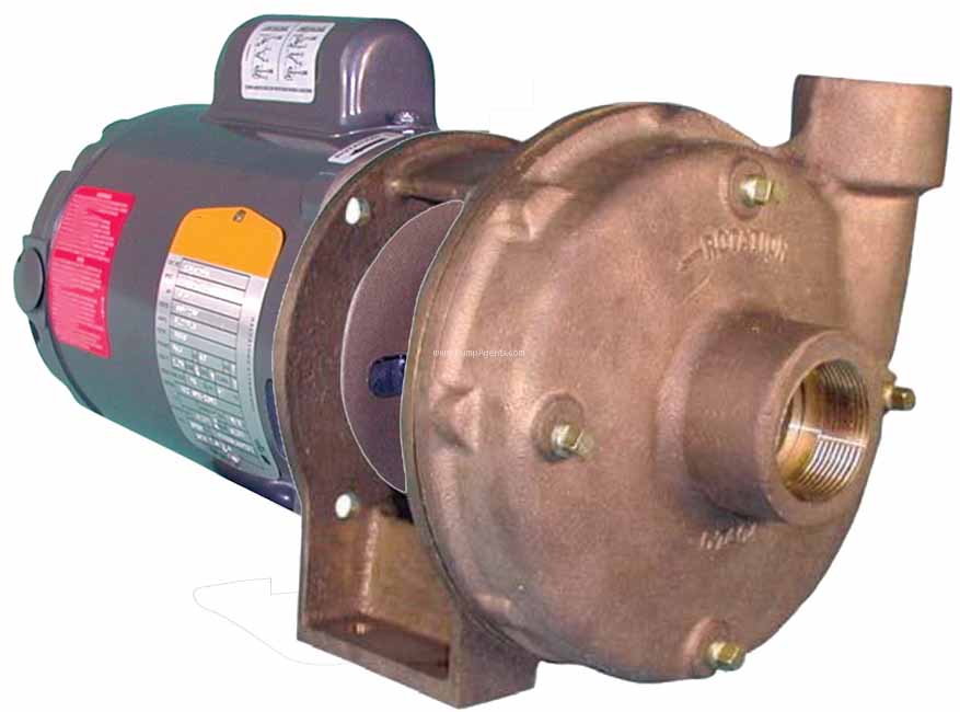 Oberdorfer Pump 815B-T25