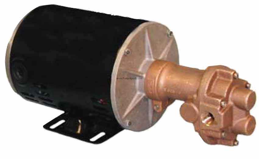 Oberdorfer Pump N991R-F41