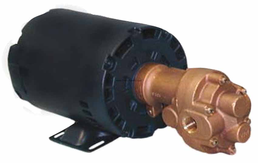 Oberdorfer Pump N992-J16