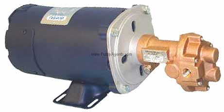 Oberdorfer Pump N999Q-F81
