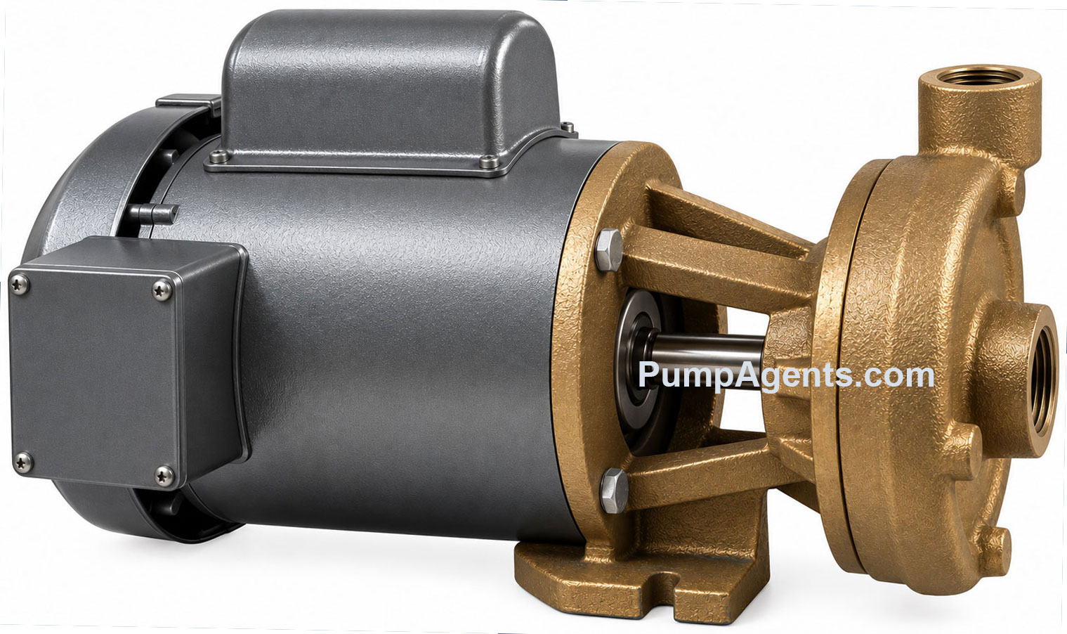 Price Pump CD100AB-400-21211-100-36-3T7