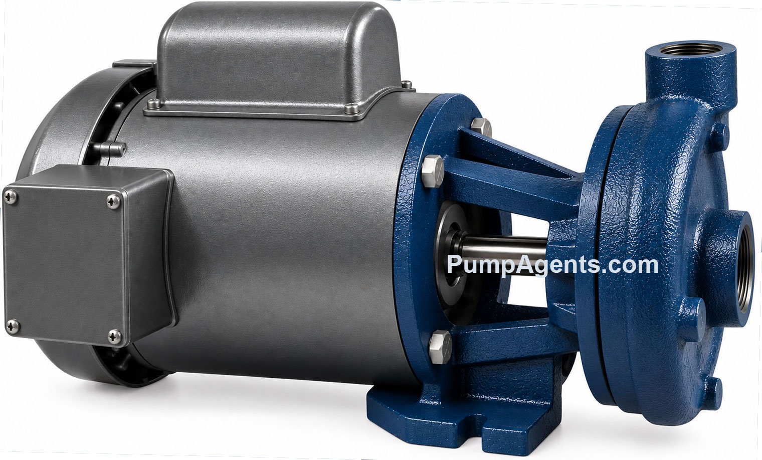 Price Pump CD100BF-400-21211-33-18-1T6