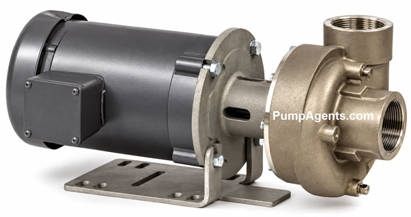 Price Pump RC200SS-375-21211-200-36-3D6