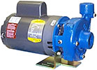 MP 125