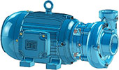 MP 603