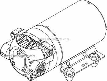 Shurflo Pump 8006-142-220